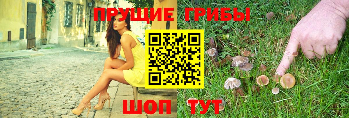 Псилоцибиновые грибы Psilocybe  Вход с VPN  Галлюциногенные грибы MAGIC MUSHROOMS  Дербент 